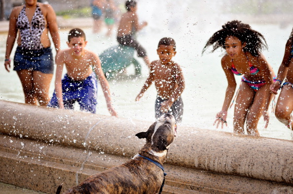 Philadelphia kids and dog cool off at fountain.